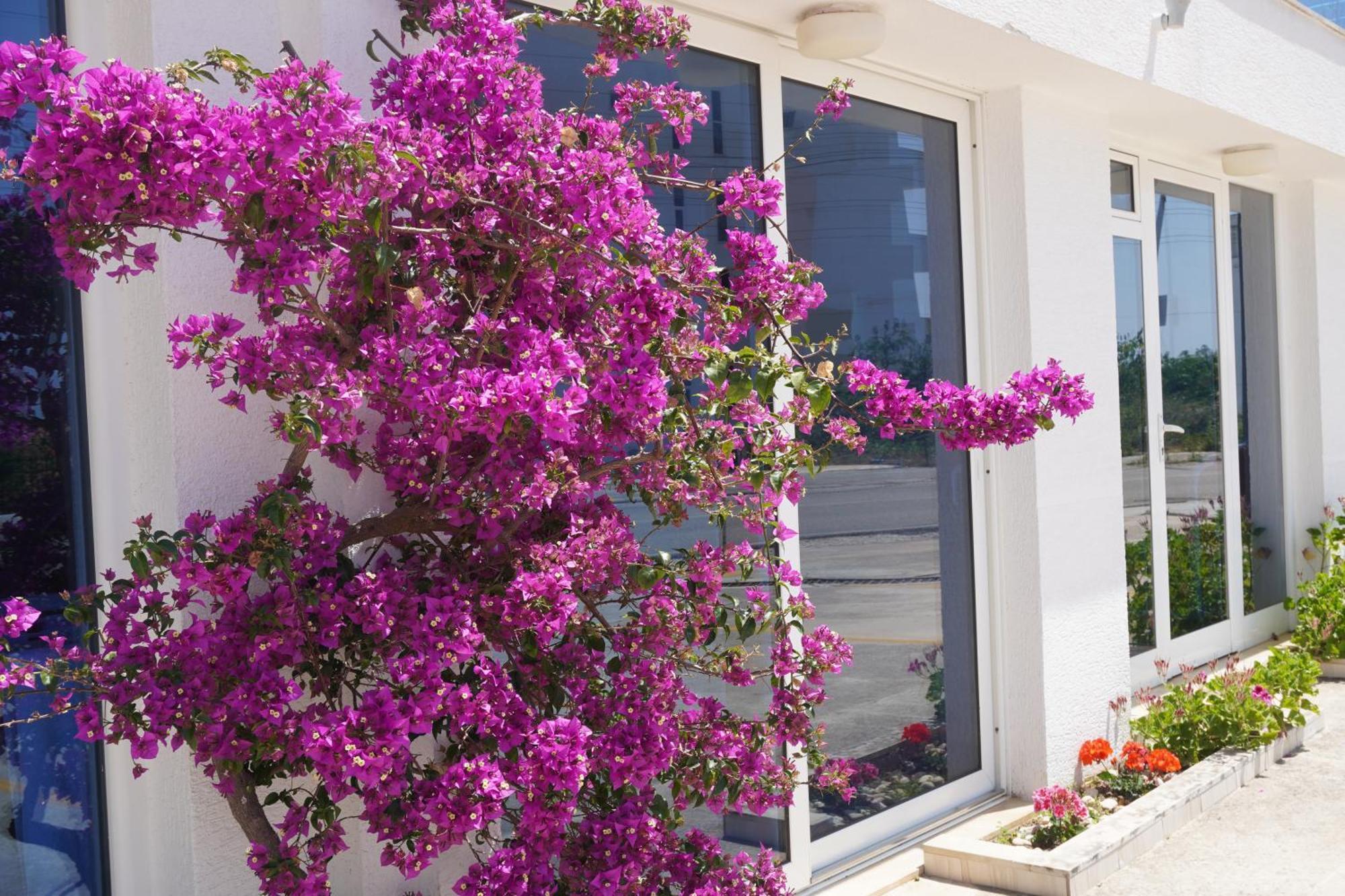 Hotel Agel Sarandë Exterior foto